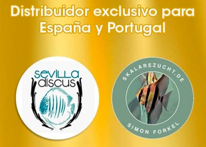 Distribuidor exclusivo para España y Portugal SKALAREZUCHT.DE SIMON FORKEL